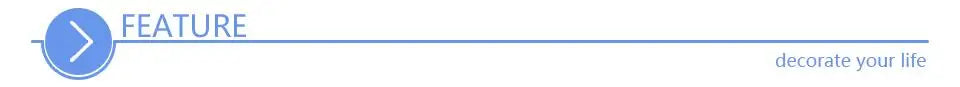 FEATURE label graphic with arrow icon