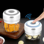 Electric mini chopper, white base with clear bowl and stainless blades, garlic inside.