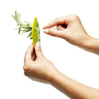 Yellow herb leaf stripper with wooden-handled stem remover and 8-hole head