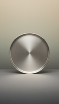 Brushed stainless steel platter